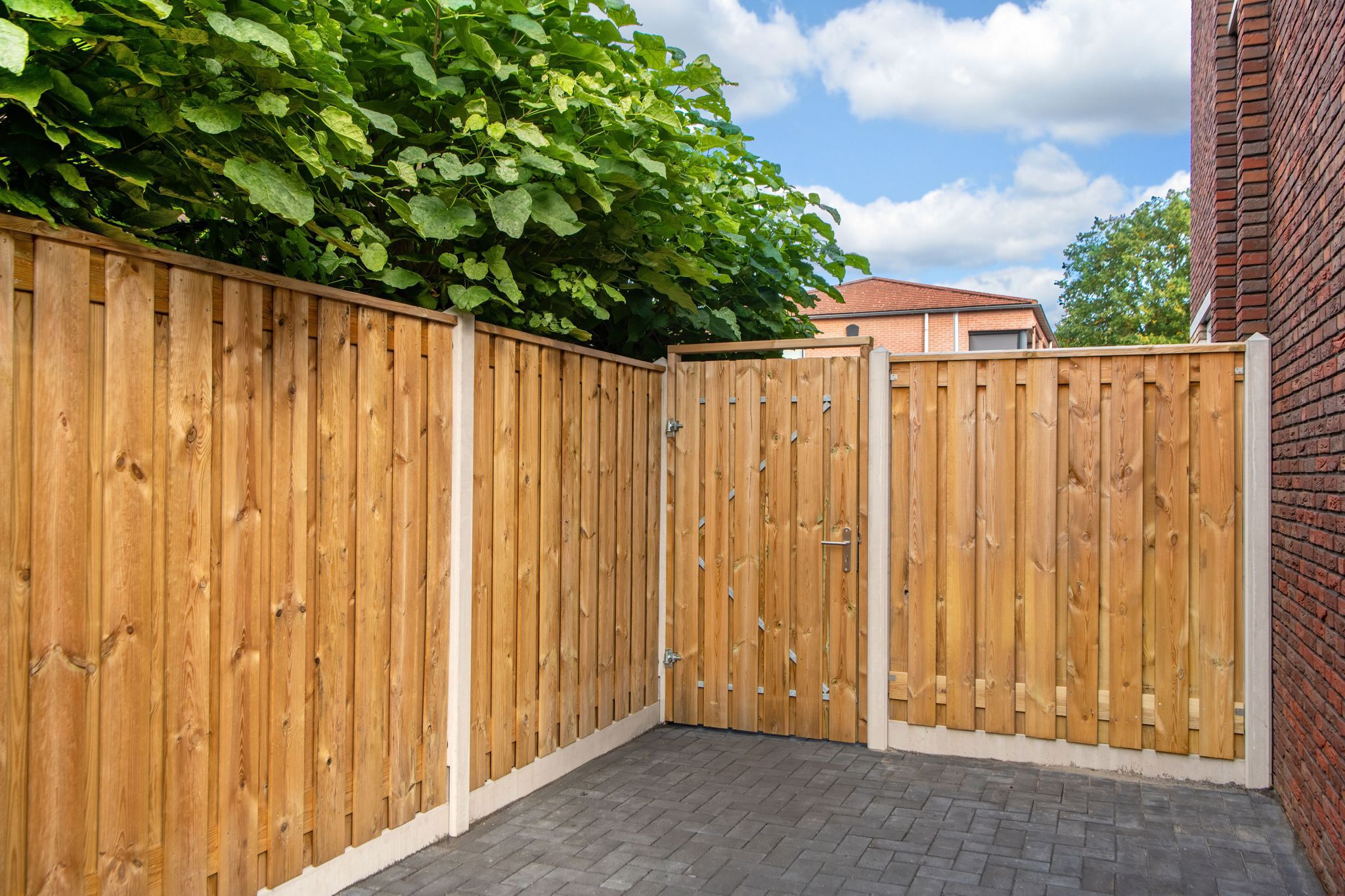 Geïmpregneerd grenen hout